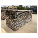 White Pine