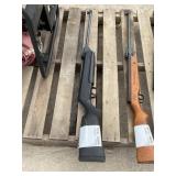 Pellet Gun