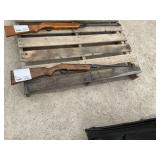Pellet Gun