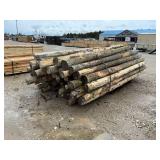 8' x 4' Cedar Posts