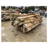 8' x 4' Cedar Posts