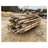 8' x 4' Cedar Posts