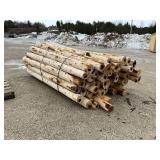 8' x 5' Cedar Posts