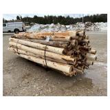 8' x 4' Cedar Posts