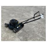 Briggs & Stratton Push Lawn Mower