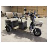 Three Wheel TRCG40 Electric Scooter