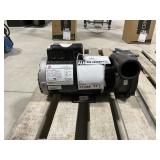 Pool/Spa Pump