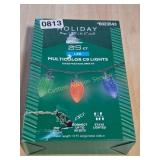 25 CT MULTICOLOR LIGHTS