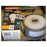 LIGHT BULB AND LIGHT