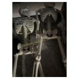2 SKELETON DECOR