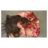 BLOODY FACE HALLOWEEN 2 PACK