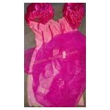 WOMENS PRINCESS COSTUME 4 PACK