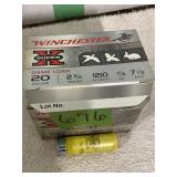 Winchester 20 ga 2-3/4"