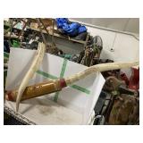 6 FT SET OF LONGHORNS  NEEDS REPAIR