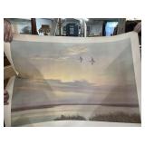 Storz Light Refreshing Poster and Ducks Poster