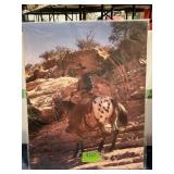 JOHN WAYNE POSTER "EL DARADO" 16" X 20"