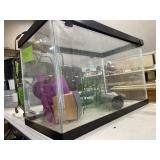 AQUARIUM  20" X 10" X 12"