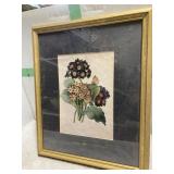 14" x 18" floral pciture