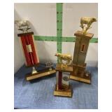 3-LIVESTOCK TROPHIES