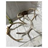 DEER SHEDS