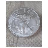 2012 American Silver Eagle