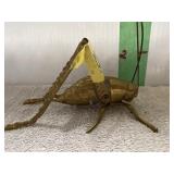 Brass Grasshopper    6 x 4