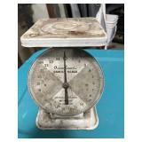 Household scale