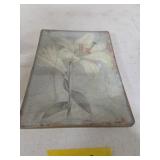 GLASS LILY PICTURE 5" X 7"