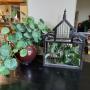 St Charles online estate auction #2