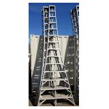 (4) 14' Orchard Ladders