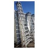 (3) 12' Orchard Ladders