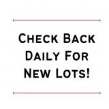 PARTIAL CATALOG - CHECK BACK DAILY FOR NEW LOTS