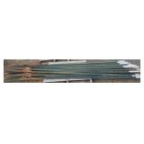 (20) 10' T-Posts