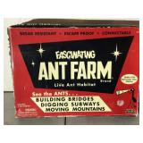 Antique ant farm