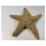 All natural star fish