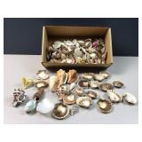 Sea Shells by the box