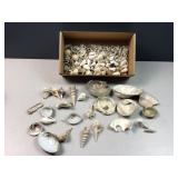 Sea Shells by the box 2