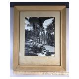 Black n White logging photo in frame