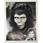 Autographed Kim Hunter Planet of the Apes Photo