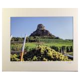 Matted Frank Juge Chardonnay Harvest Photo