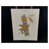 Vintage Wildlife Artist Jim Oliver "Yellow Shafted