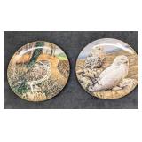 2 Majesty Of Owls Plates Watchful Eyes & On Arctic