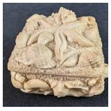 Small Shells Trinket Box Nautica Small Shells Trinket Box Nautica