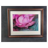 Lotus Lily Flower and Water Photograph by Etta Jea