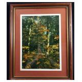 Framed Paul R Sanfield Jr Signed Photo Fall Trees