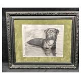 Black & White Photograph Pix n