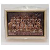Sealed Sideliners Pro Football Cheerleaders Minnes