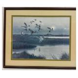 A.J. Rudisill Arriving Pintails Flock of Ducks Fra