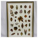 Large Framed Mixed Media Botanical Artwork by Joha