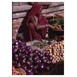 Vintage Kodachrome Photo Slide with Digital Prints